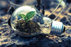 Girardin vert : alliez investissement défiscalisant et impact environnemental positif !